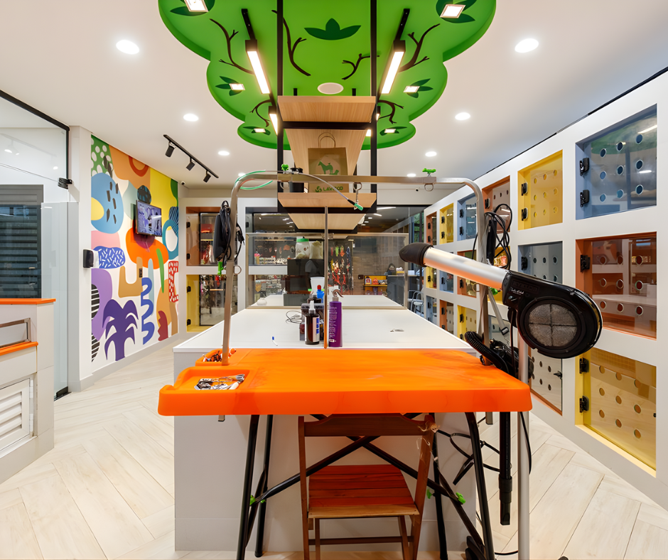 Thiết kế phòng chăm sóc thú cưng